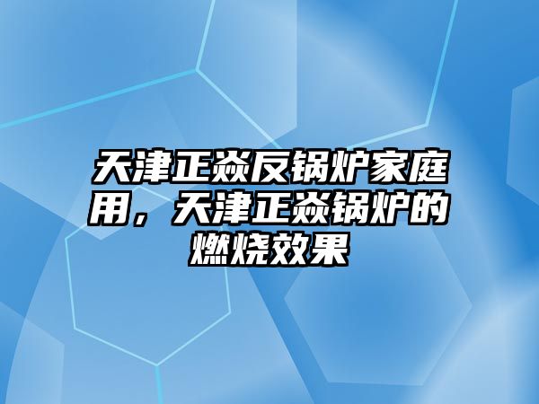 天津正焱反鍋爐家庭用，天津正焱鍋爐的燃燒效果