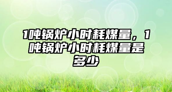 1噸鍋爐小時(shí)耗煤量，1噸鍋爐小時(shí)耗煤量是多少