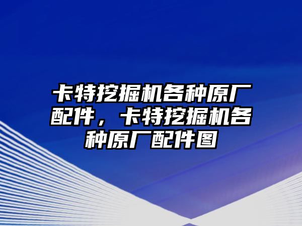 卡特挖掘機各種原廠配件，卡特挖掘機各種原廠配件圖