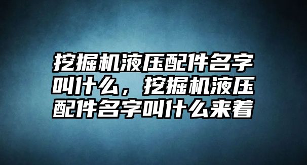 挖掘機(jī)液壓配件名字叫什么，挖掘機(jī)液壓配件名字叫什么來(lái)著