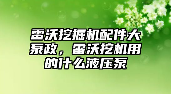 雷沃挖掘機配件大泵政，雷沃挖機用的什么液壓泵