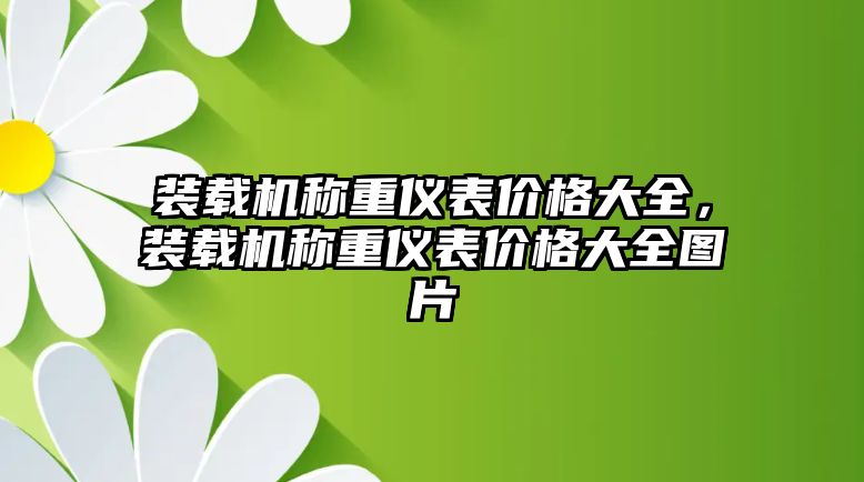 裝載機(jī)稱重儀表價格大全，裝載機(jī)稱重儀表價格大全圖片