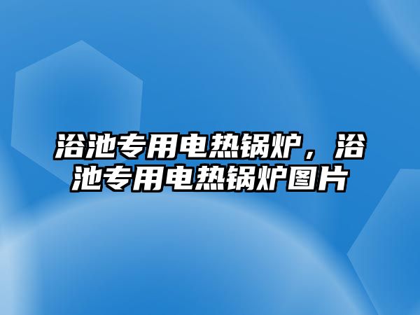 浴池專用電熱鍋爐，浴池專用電熱鍋爐圖片