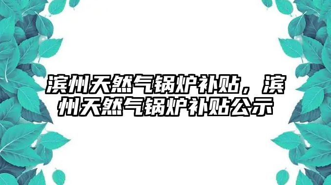 濱州天然氣鍋爐補貼，濱州天然氣鍋爐補貼公示