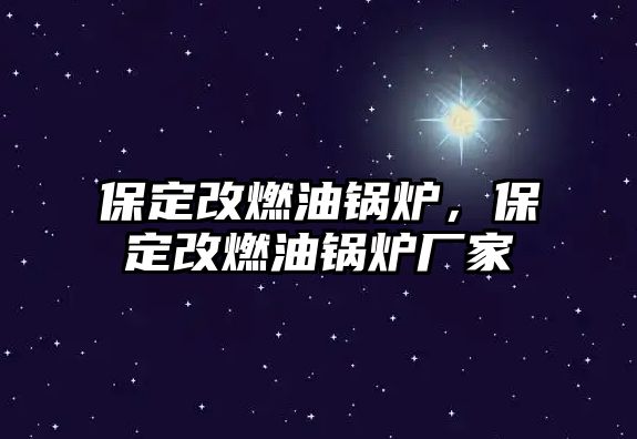 保定改燃油鍋爐，保定改燃油鍋爐廠家