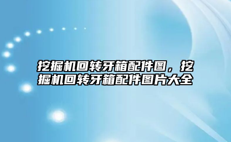 挖掘機回轉牙箱配件圖，挖掘機回轉牙箱配件圖片大全