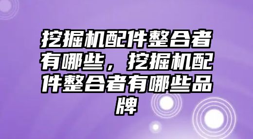 挖掘機配件整合者有哪些，挖掘機配件整合者有哪些品牌