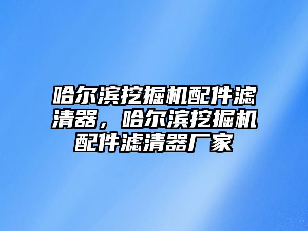 哈爾濱挖掘機配件濾清器，哈爾濱挖掘機配件濾清器廠家