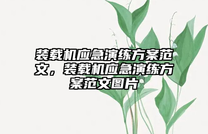 裝載機應急演練方案范文，裝載機應急演練方案范文圖片