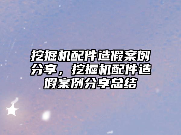 挖掘機配件造假案例分享，挖掘機配件造假案例分享總結(jié)