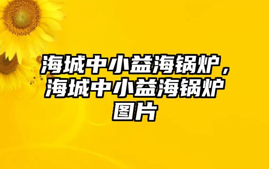 海城中小益海鍋爐，海城中小益海鍋爐圖片