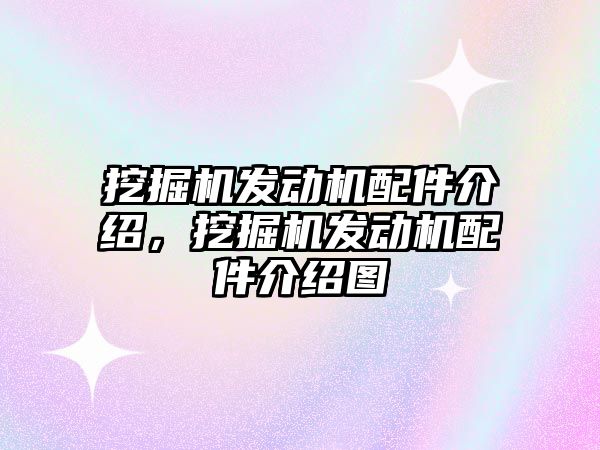 挖掘機發(fā)動機配件介紹，挖掘機發(fā)動機配件介紹圖