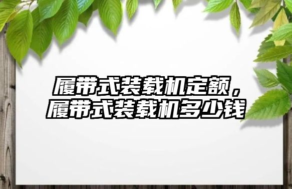 履帶式裝載機定額，履帶式裝載機多少錢