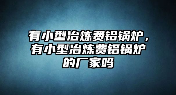 有小型冶煉費鋁鍋爐，有小型冶煉費鋁鍋爐的廠家嗎