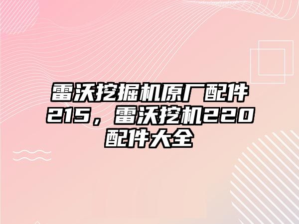 雷沃挖掘機原廠配件215，雷沃挖機220配件大全