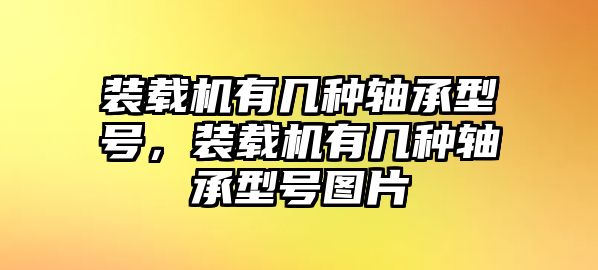 裝載機有幾種軸承型號，裝載機有幾種軸承型號圖片