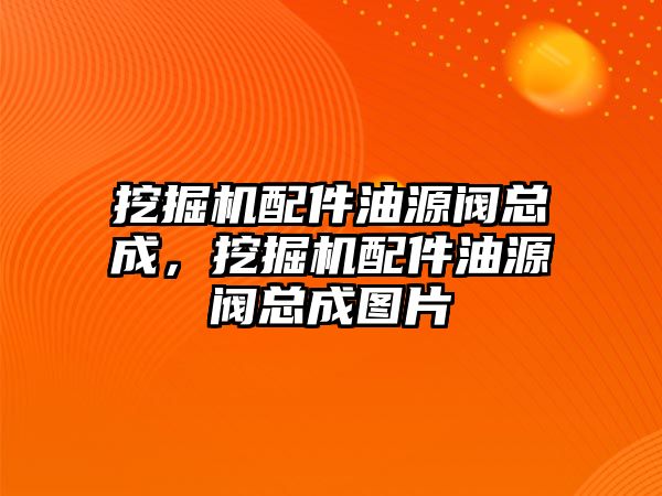 挖掘機配件油源閥總成，挖掘機配件油源閥總成圖片