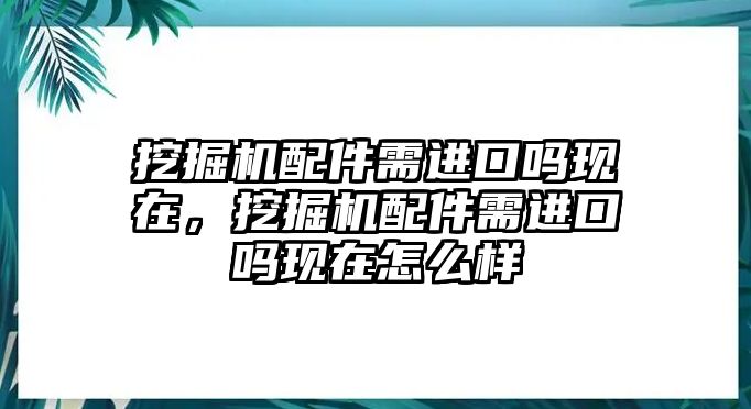 挖掘機配件需進口嗎現在，挖掘機配件需進口嗎現在怎么樣