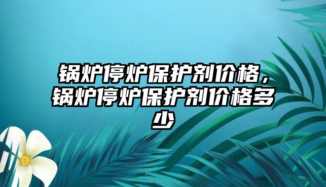 鍋爐停爐保護劑價格，鍋爐停爐保護劑價格多少