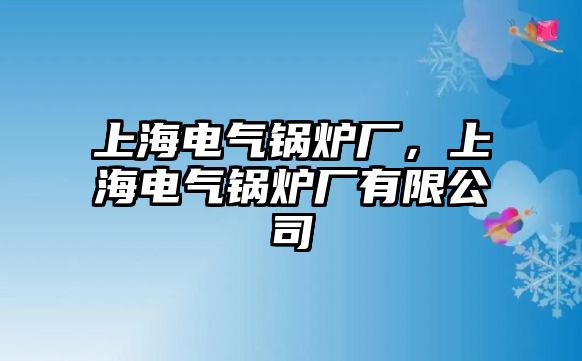 上海電氣鍋爐廠，上海電氣鍋爐廠有限公司