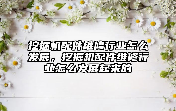 挖掘機配件維修行業怎么發展，挖掘機配件維修行業怎么發展起來的