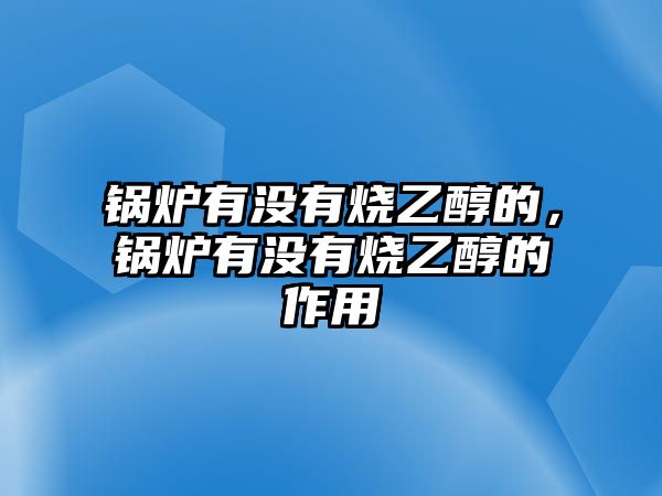 鍋爐有沒有燒乙醇的，鍋爐有沒有燒乙醇的作用