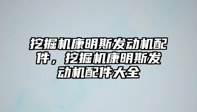 挖掘機康明斯發動機配件，挖掘機康明斯發動機配件大全