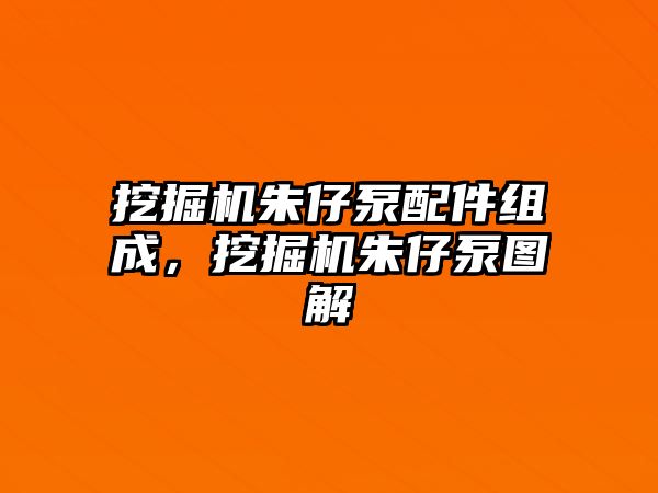 挖掘機朱仔泵配件組成，挖掘機朱仔泵圖解