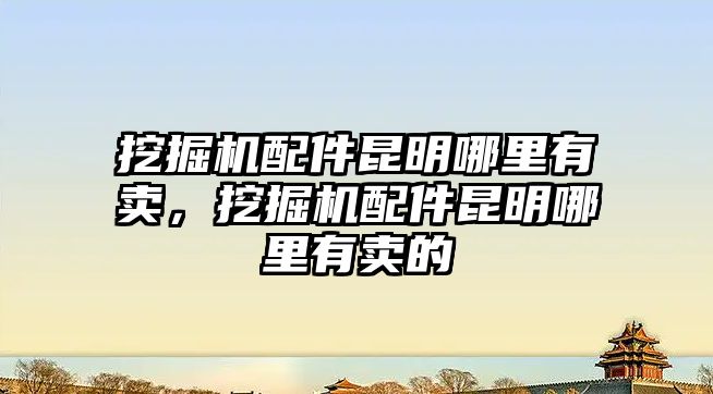 挖掘機配件昆明哪里有賣，挖掘機配件昆明哪里有賣的