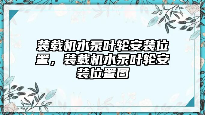 裝載機水泵葉輪安裝位置，裝載機水泵葉輪安裝位置圖