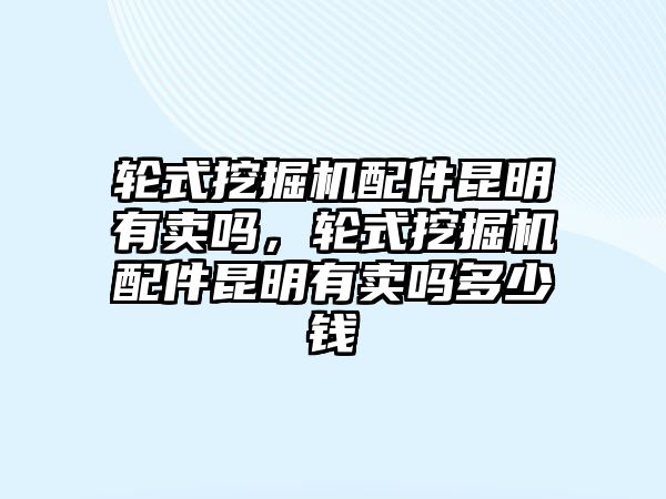 輪式挖掘機配件昆明有賣嗎，輪式挖掘機配件昆明有賣嗎多少錢