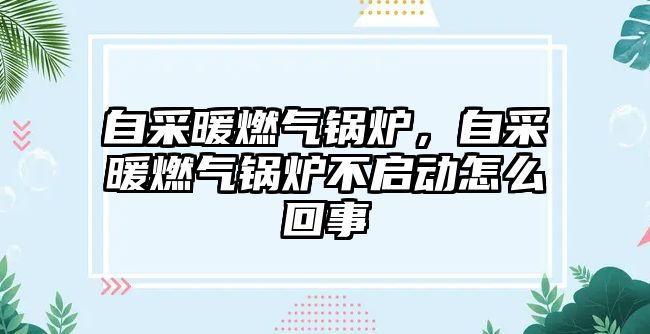 自采暖燃氣鍋爐，自采暖燃氣鍋爐不啟動怎么回事