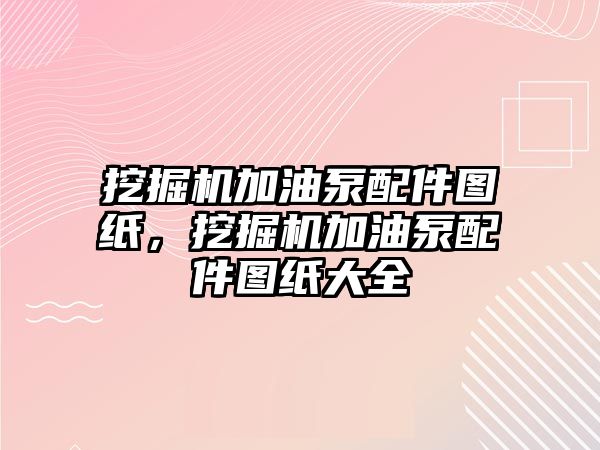 挖掘機加油泵配件圖紙，挖掘機加油泵配件圖紙大全