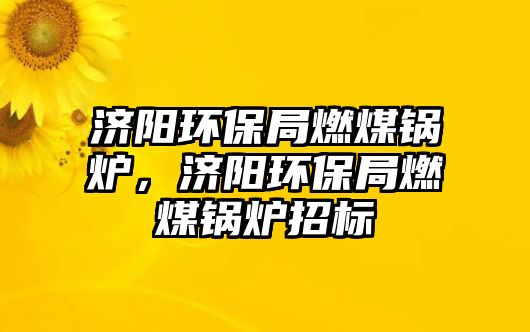 濟陽環保局燃煤鍋爐，濟陽環保局燃煤鍋爐招標