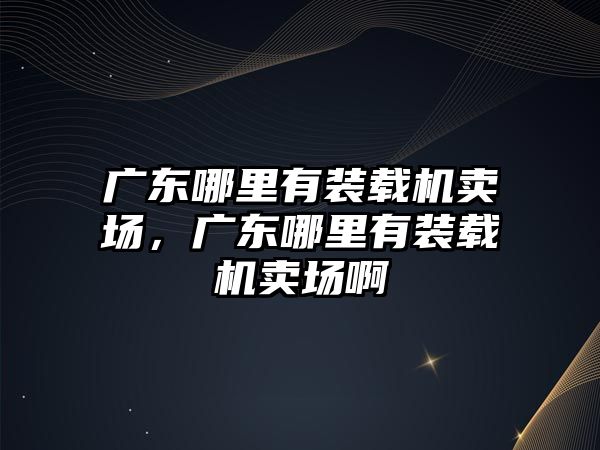 廣東哪里有裝載機賣場，廣東哪里有裝載機賣場啊