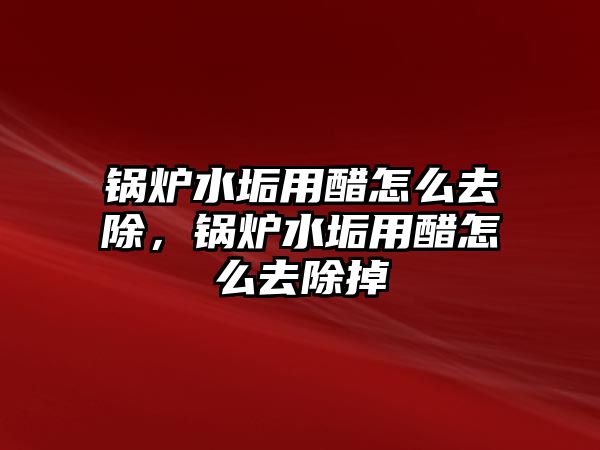 鍋爐水垢用醋怎么去除，鍋爐水垢用醋怎么去除掉