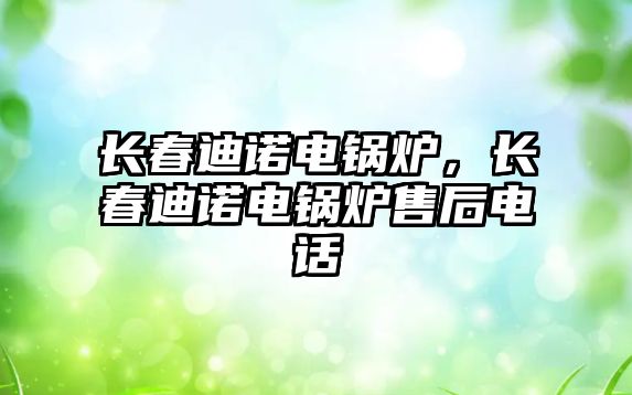 長春迪諾電鍋爐，長春迪諾電鍋爐售后電話