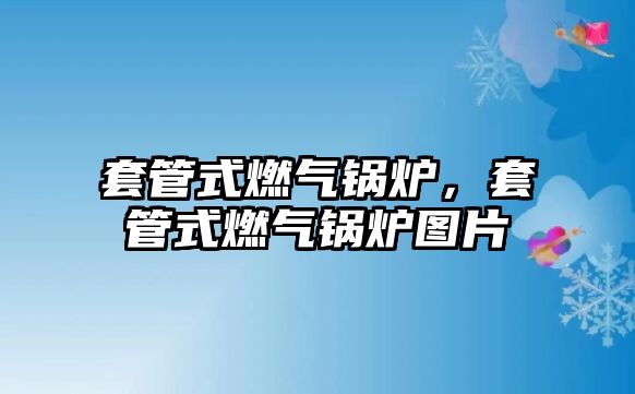 套管式燃氣鍋爐，套管式燃氣鍋爐圖片