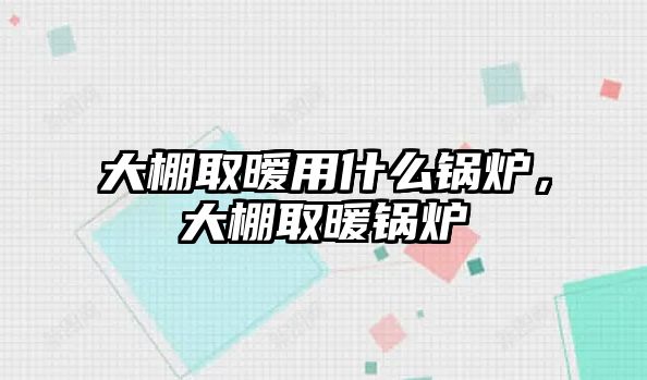 大棚取曖用什么鍋爐，大棚取暖鍋爐