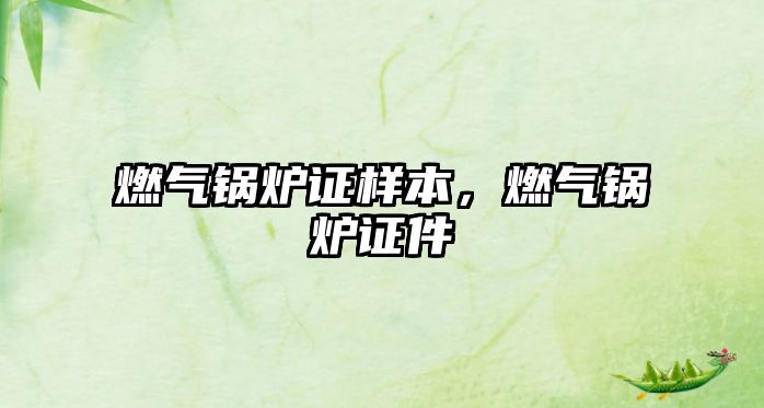 燃?xì)忮仩t證樣本，燃?xì)忮仩t證件