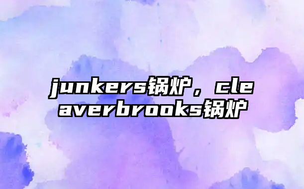 junkers鍋爐，cleaverbrooks鍋爐