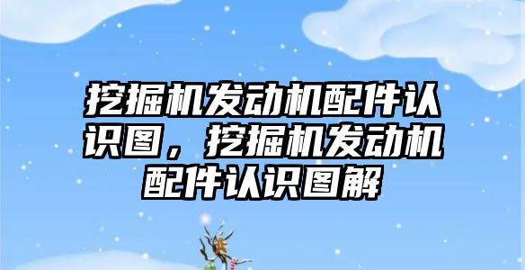 挖掘機發動機配件認識圖，挖掘機發動機配件認識圖解