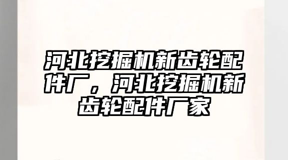 河北挖掘機新齒輪配件廠，河北挖掘機新齒輪配件廠家