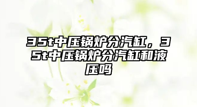 35t中壓鍋爐分汽缸，35t中壓鍋爐分汽缸和液壓嗎