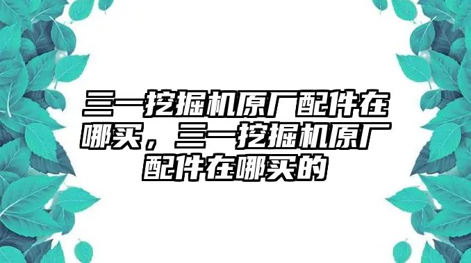 三一挖掘機原廠配件在哪買，三一挖掘機原廠配件在哪買的