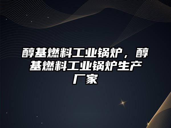 醇基燃料工業(yè)鍋爐，醇基燃料工業(yè)鍋爐生產廠家