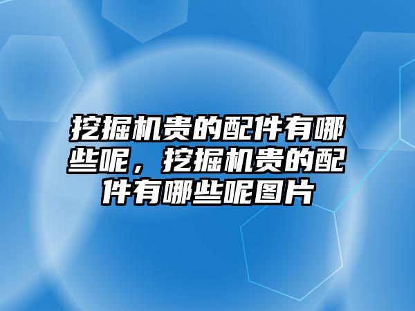 挖掘機貴的配件有哪些呢，挖掘機貴的配件有哪些呢圖片