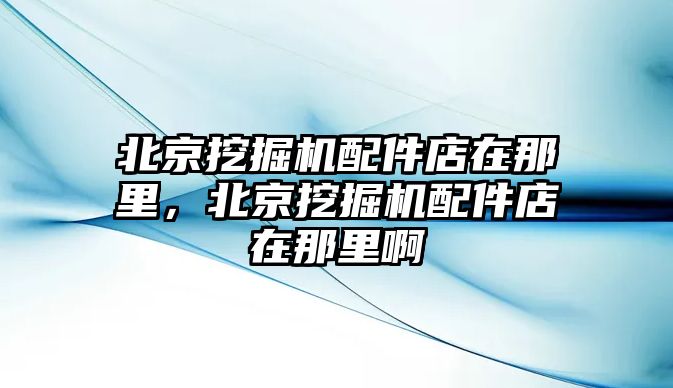 北京挖掘機(jī)配件店在那里，北京挖掘機(jī)配件店在那里啊