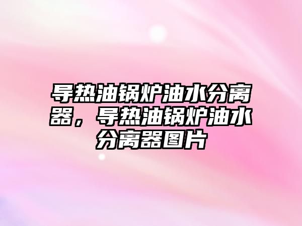 導熱油鍋爐油水分離器，導熱油鍋爐油水分離器圖片