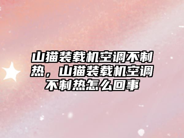 山貓裝載機空調不制熱，山貓裝載機空調不制熱怎么回事